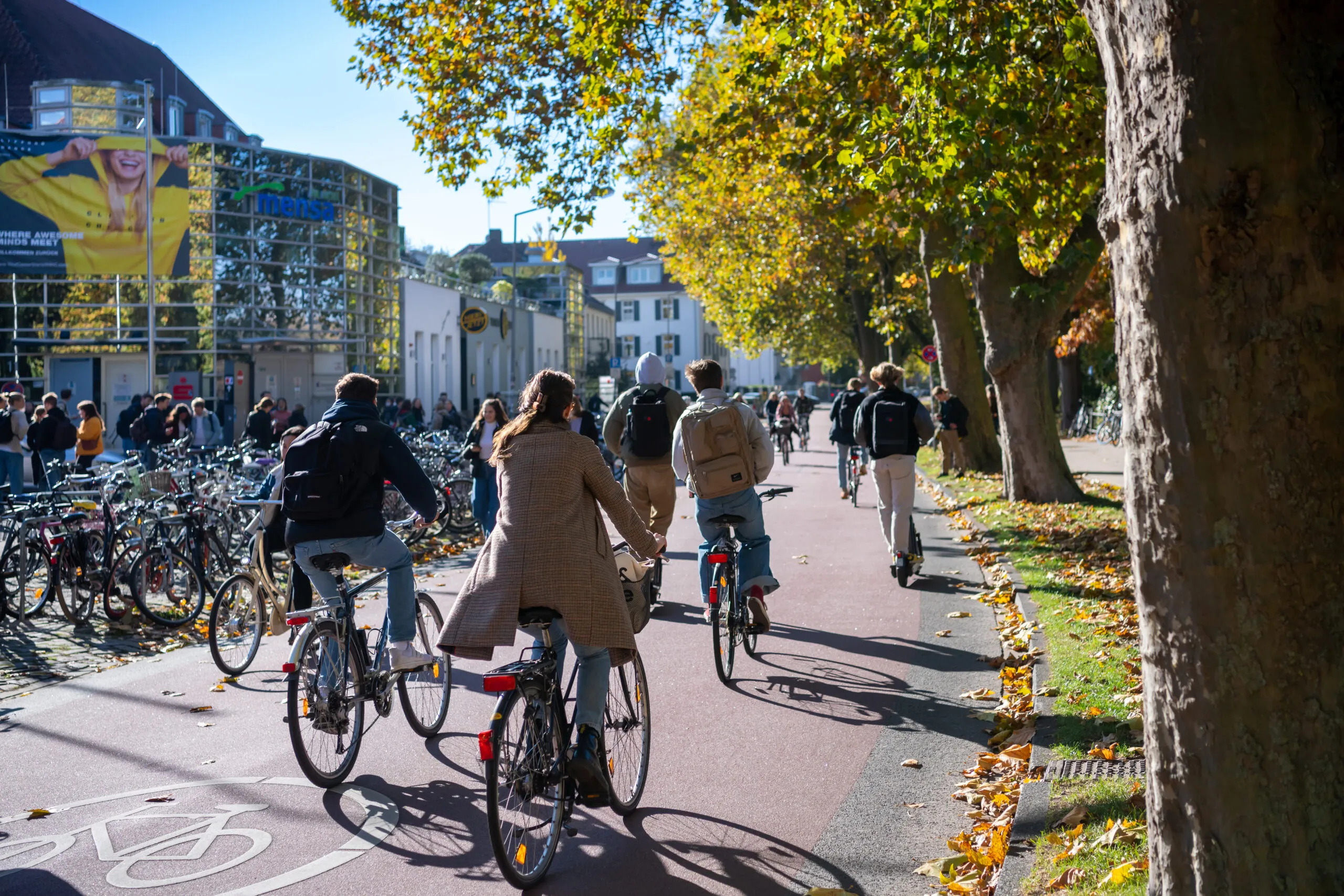 ADFC-Fahrradklimatest 2024: Münster bleibt Fahrrad-Hauptstadt – aber tritt auf der Stelle